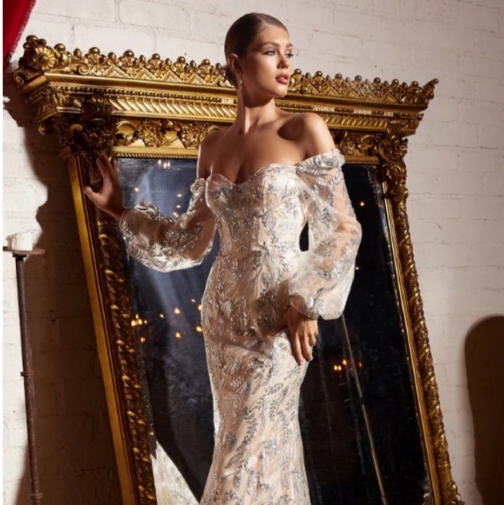 Cinderella divine dress